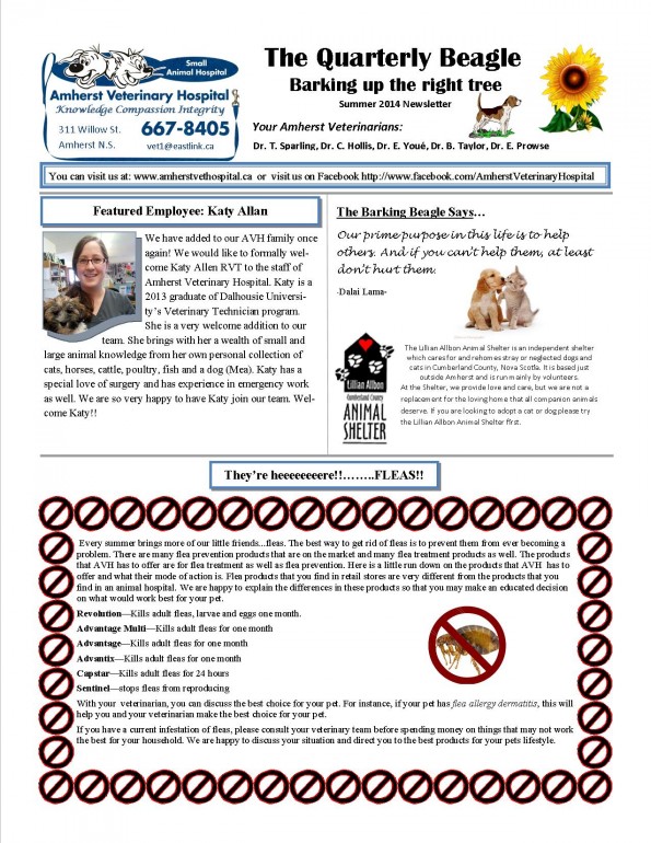 summer 2014 newsletter1