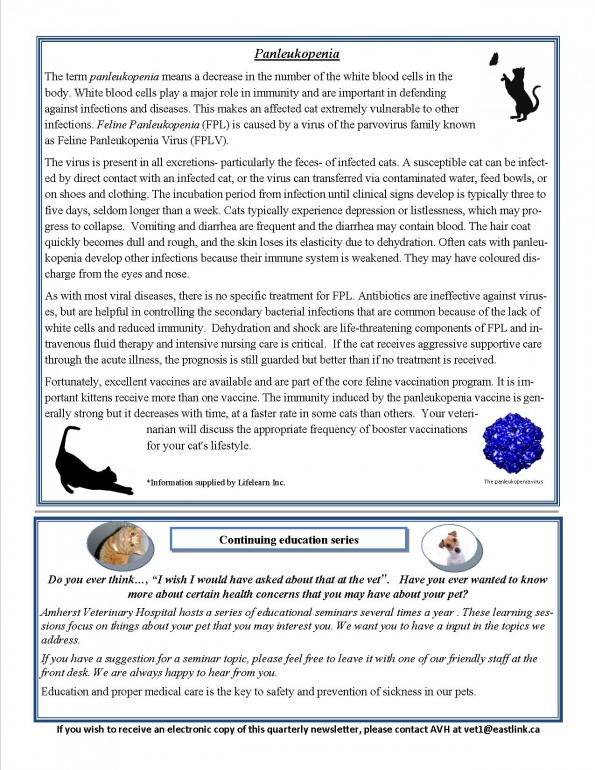 summer 2014 newsletter2