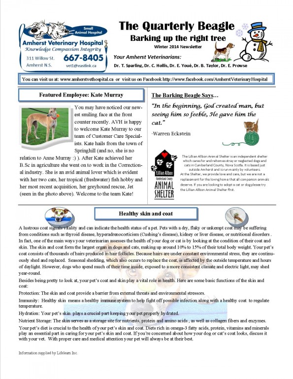 winter newsletter 20141